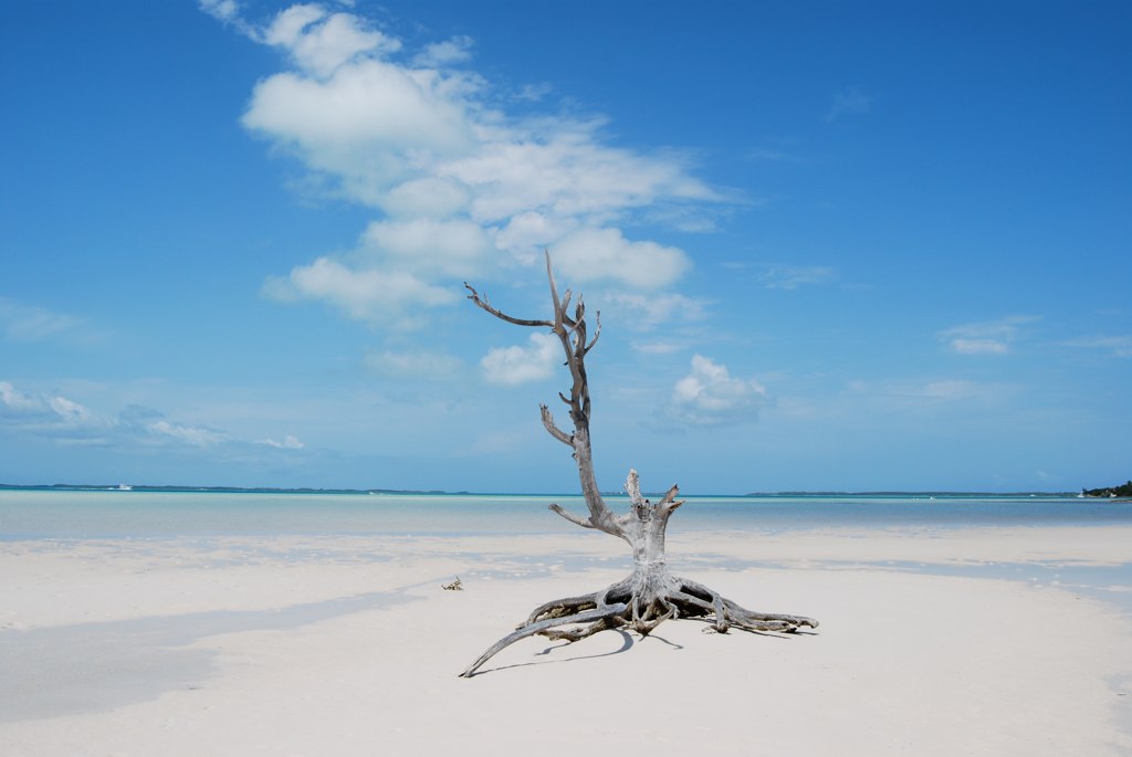 Harbour Island Bahamas