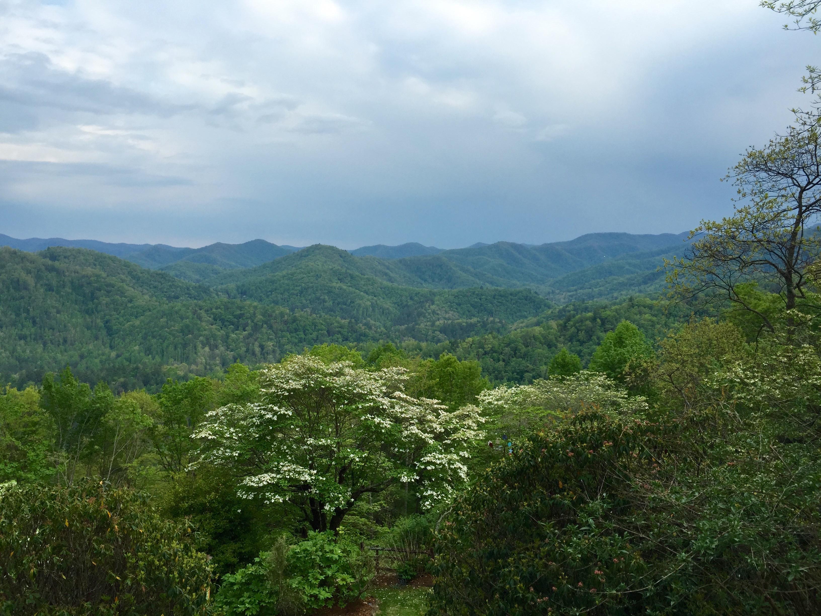 Snowbird Lodge Robbinsville North Carolina