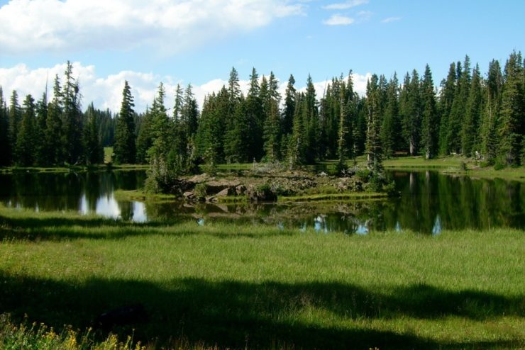 Saratoga Wyoming